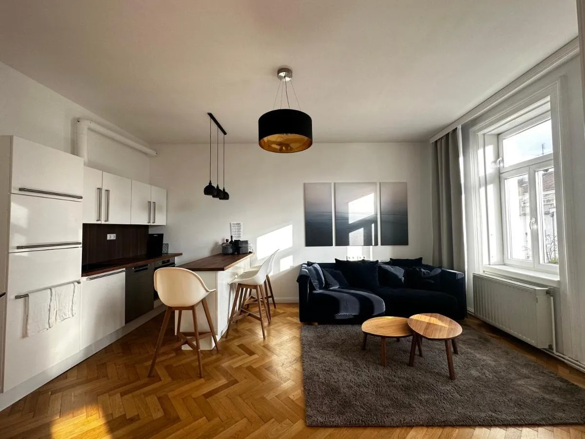 Luxury 3 bedroom apartment near Schönbrunn Palace - 3