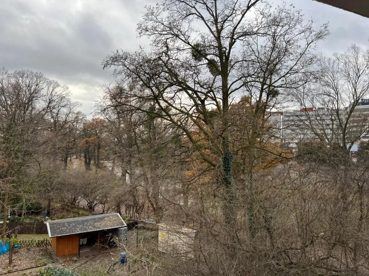 Image 4 of Parkside Charm by the Odra River near ZOO