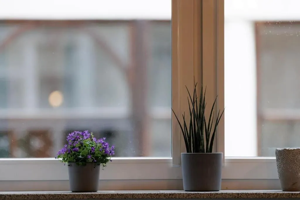 Image 5 of Weronika’s Urban Hideaway