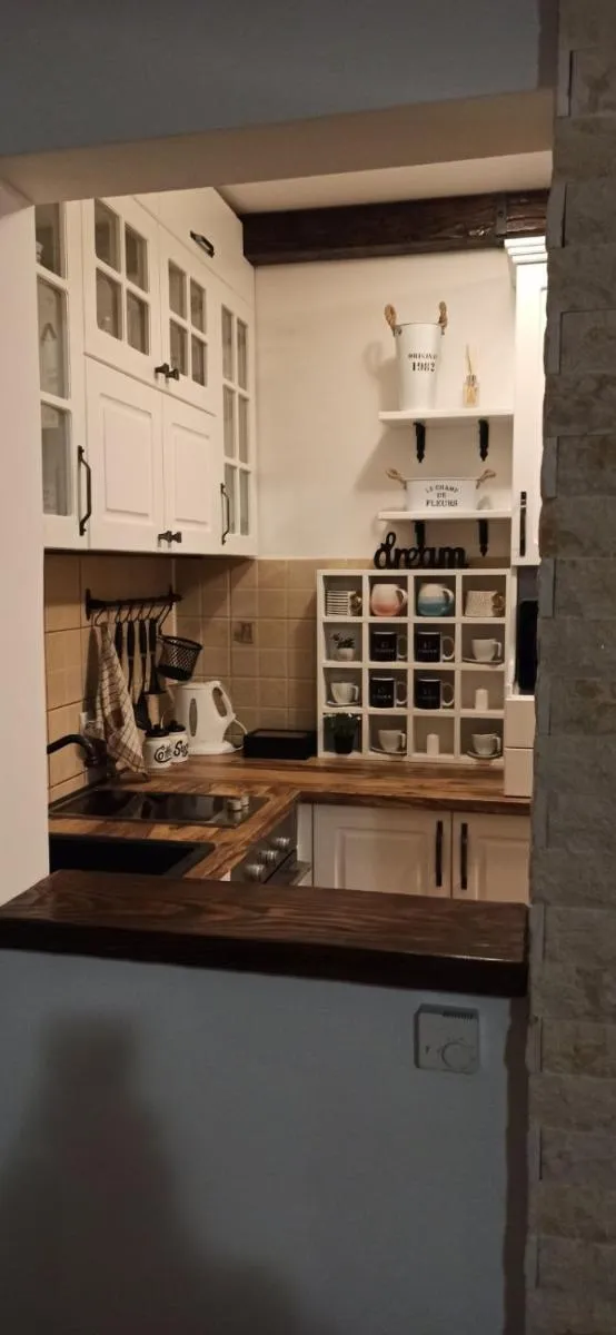 Photo 4 of Apartman Djurkovic Zlatibor