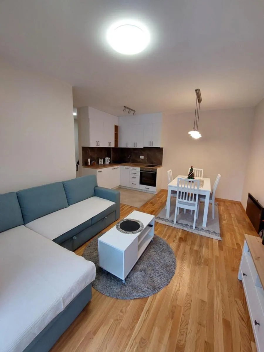 Photo 4 of Apartman Đorđević Zlatibor Vila Elsa 4