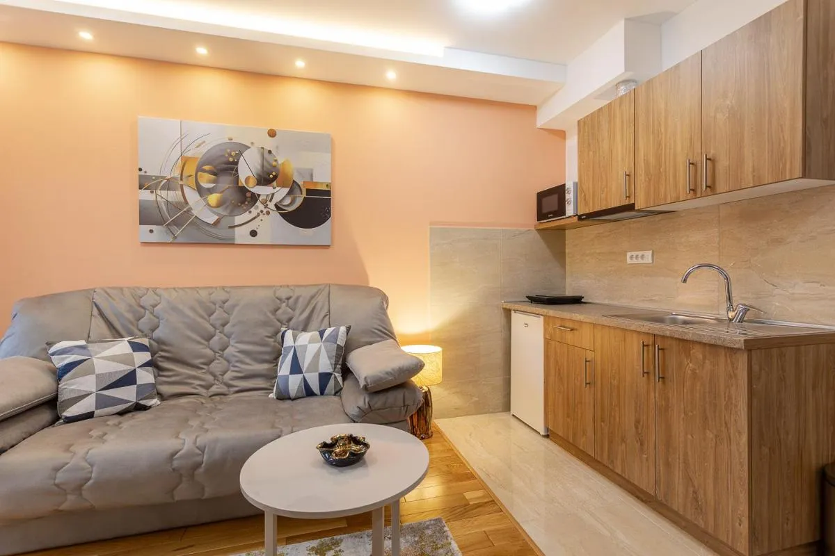 Photo 4 of Apartman Gavrilov 1