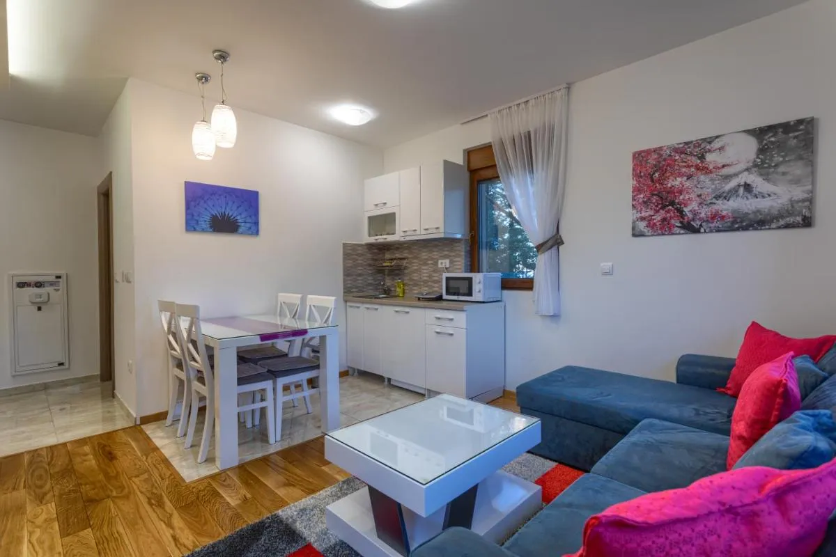 Photo 4 of Apartman Gavrilov 3