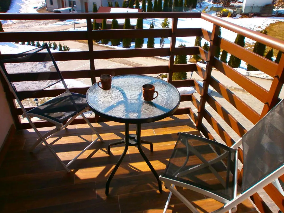 Photo 4 of Apartman Radojević Vila Darija
