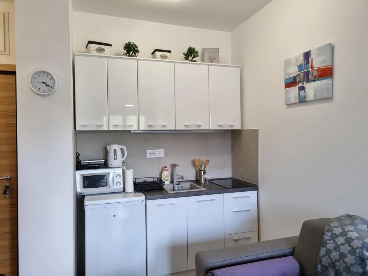 Photo 4 of Apartman S54