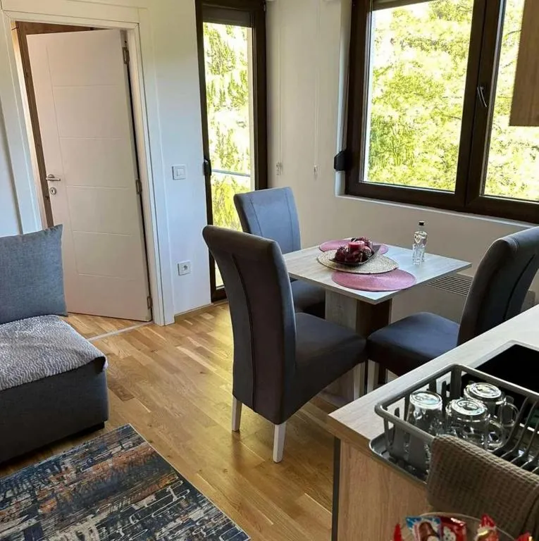Apartman Zlatibor Cica