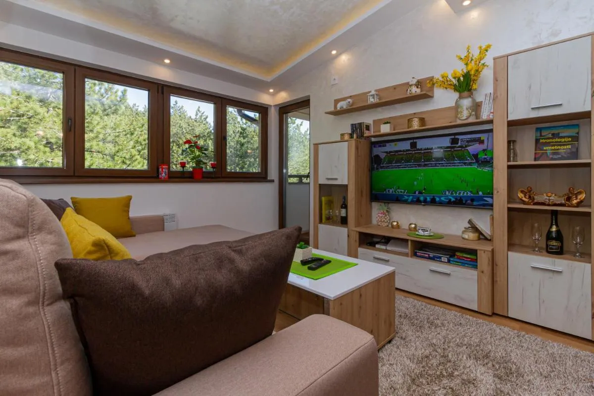 Photo 5 of Apartman & SPA Djuric Zlatibor