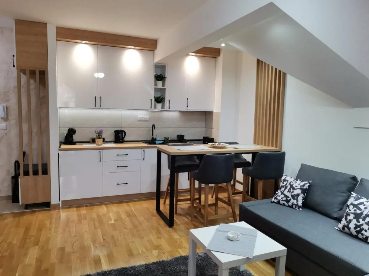 Photo 4 of Apartman & Spa Kocić Zlatibor