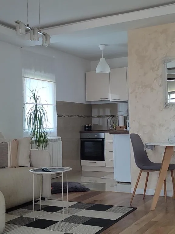 Apartment 11