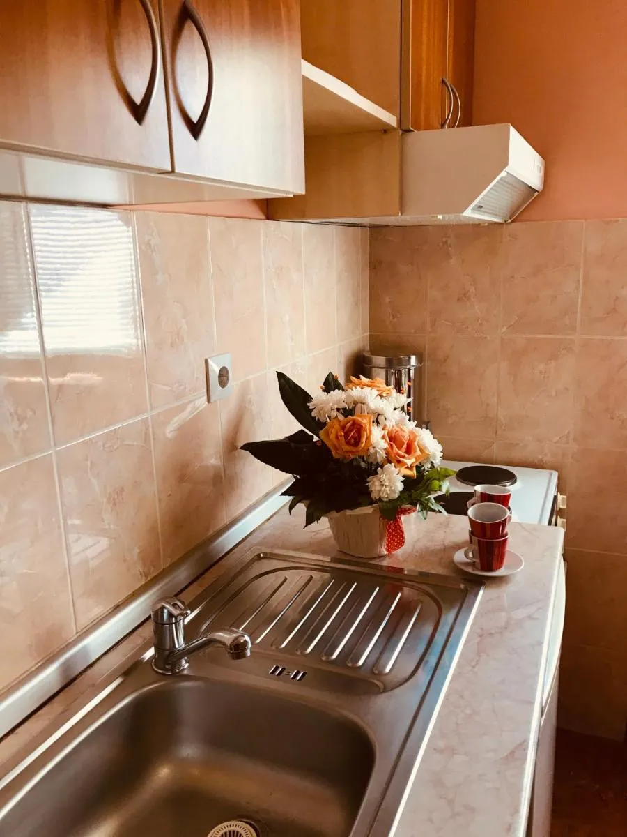Photo 3 of Apartments Vukomanović