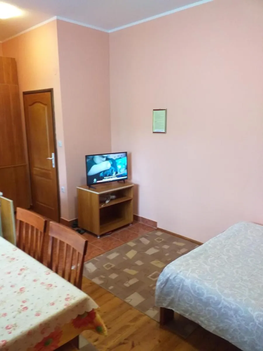 Photo 5 of Apartments Vukomanović