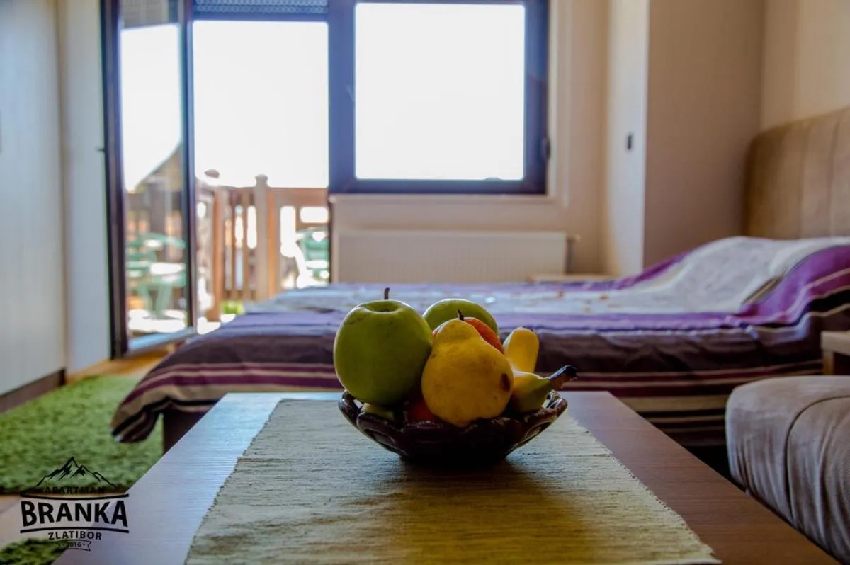 Photo 4 of Branka Apartman Zlatibor