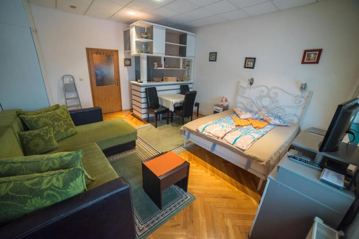 Photo 5 of Downtown Zlatibor Apartment