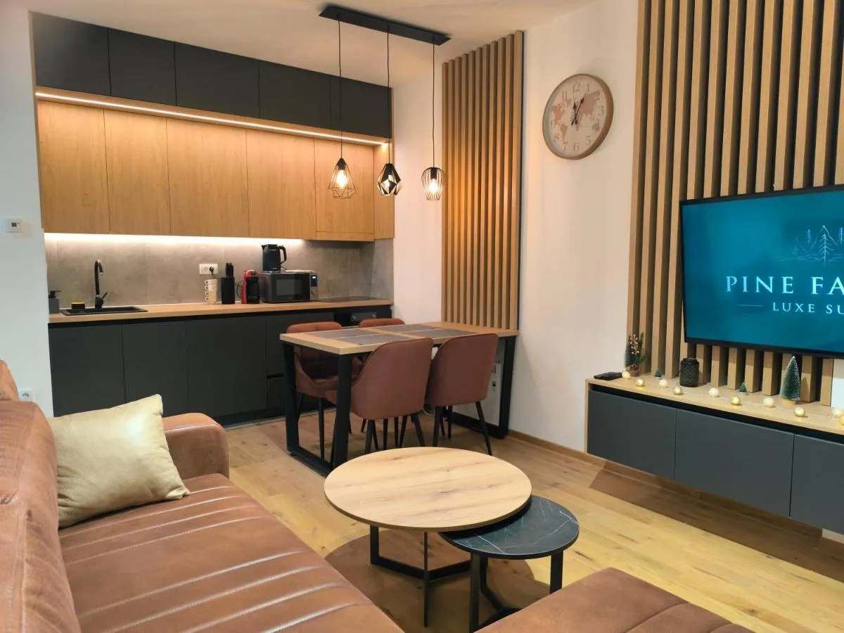 Photo 5 of Pine Family Luxe Suite