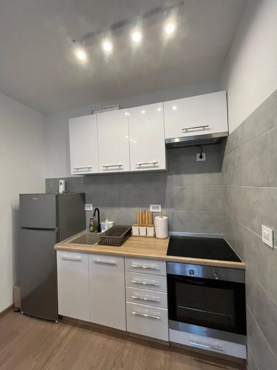 Photo 4 of Pine & Peak Zlatibor Apartman