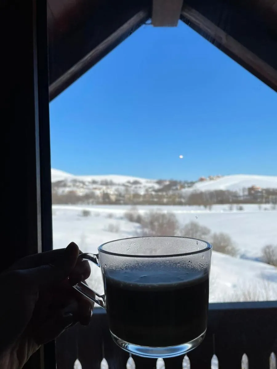Photo 3 of Stay Inn Zlatibor
