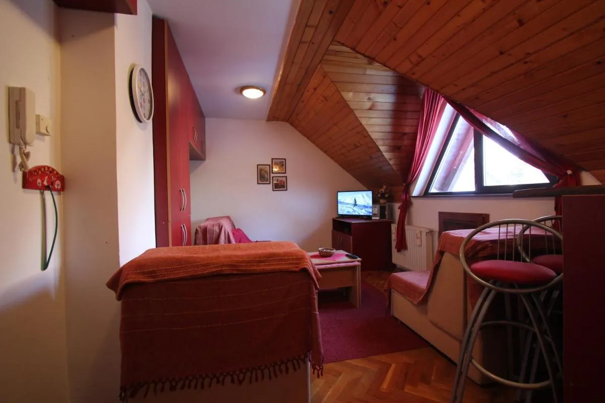 Photo 4 of Studio Apartman Aleksandar