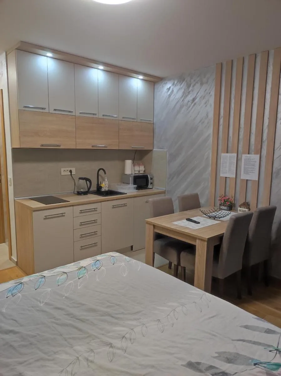 Photo 4 of Studio Apartman Valentina Zlatibor