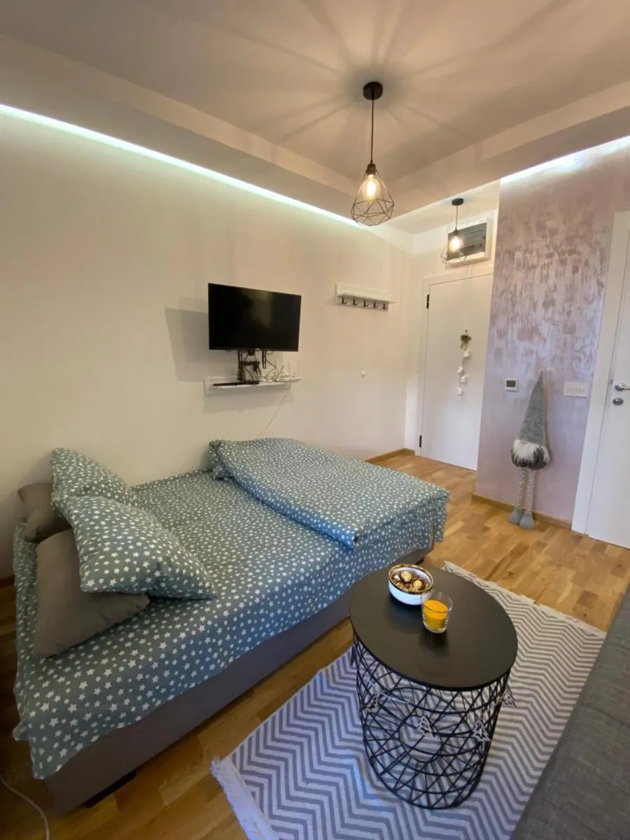 Photo 5 of Studio Snežana