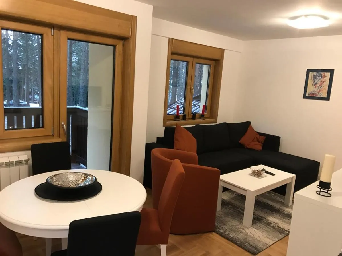 Photo 4 of Zlatibor apartmani Jakovljevic