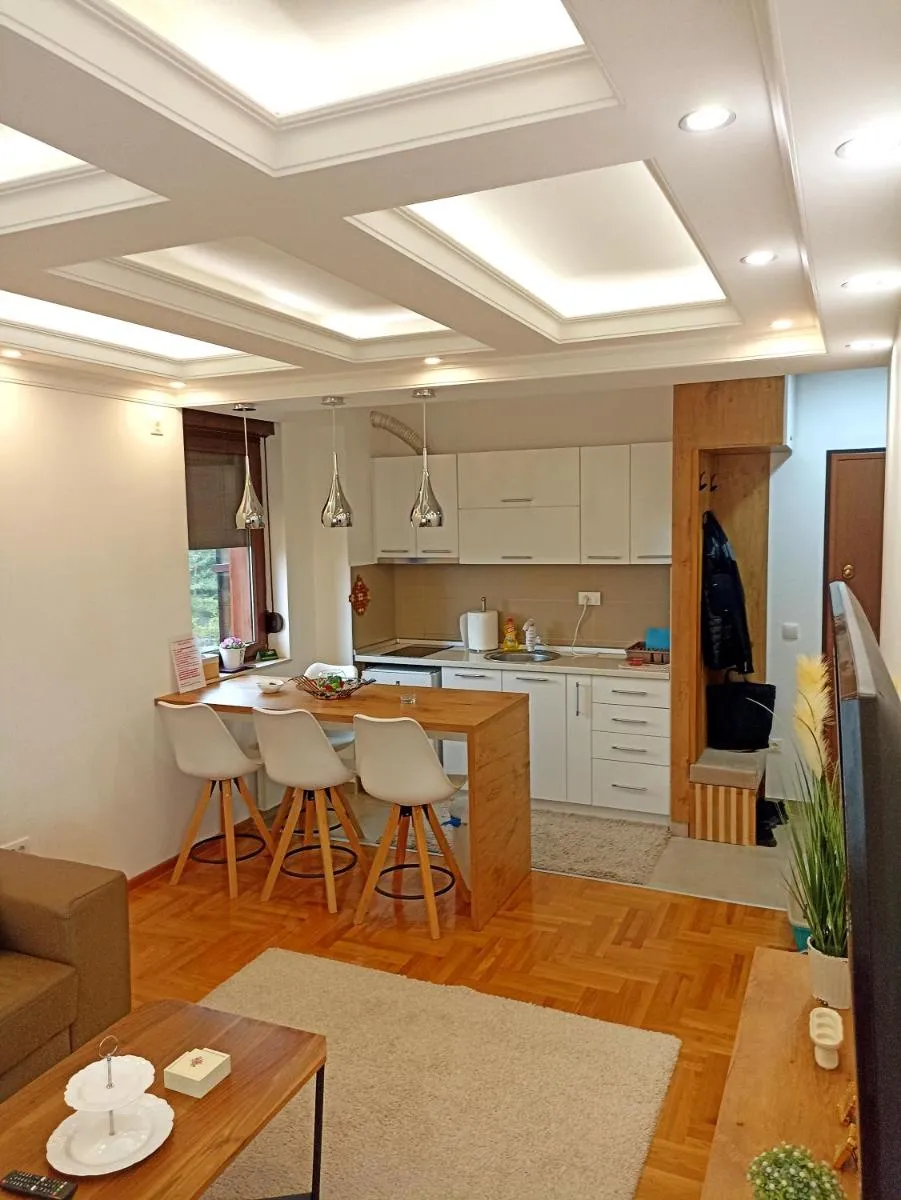 Photo 4 of Zlatibor lux apartman i SPA Jeremići